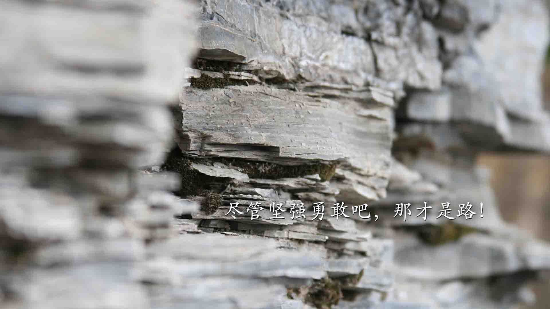 守望先锋 战队实力排名动态变化,守望先锋联赛战队介绍