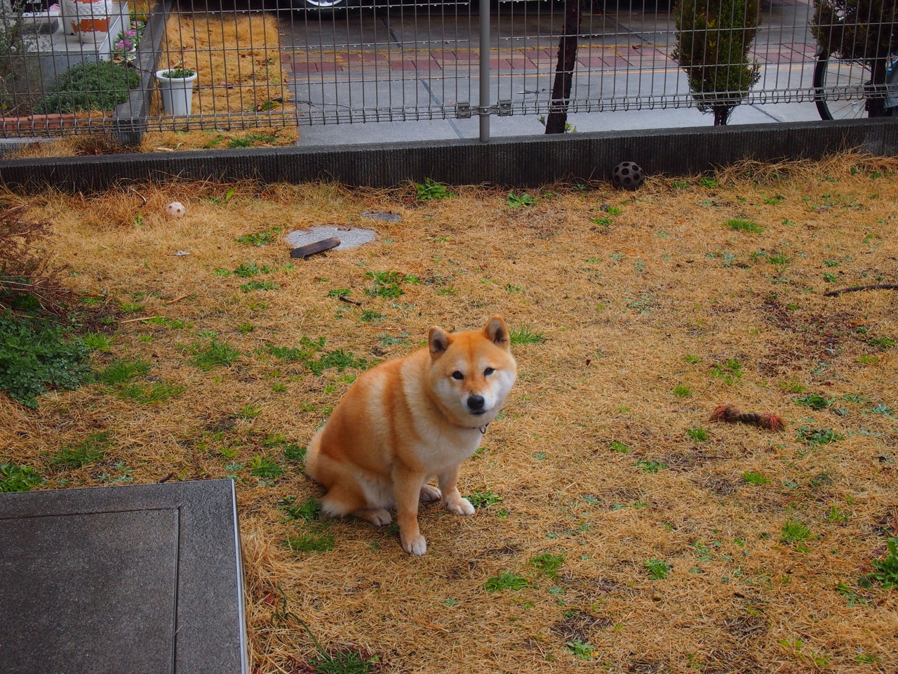 “湾区杯”围棋大棋士赛期间举办围棋文化主题讲座,围棋大赛2021